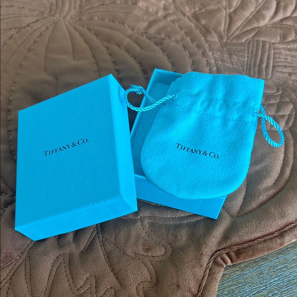 Tiffany & Co. Iconic Blue Box and Pouch Set